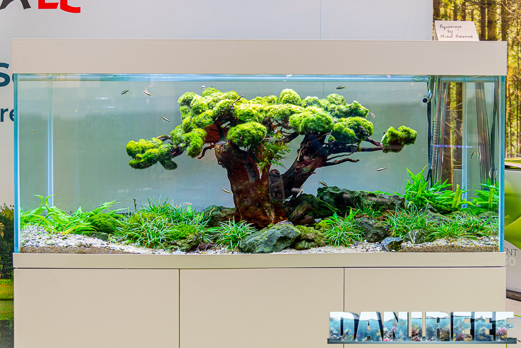 Aquascape di Michal Adamek allo stand AquaEl Interzoo 2022