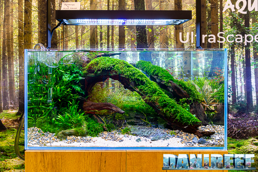Aquascape di Michal Adamek allo stand AquaEl Interzoo 2022