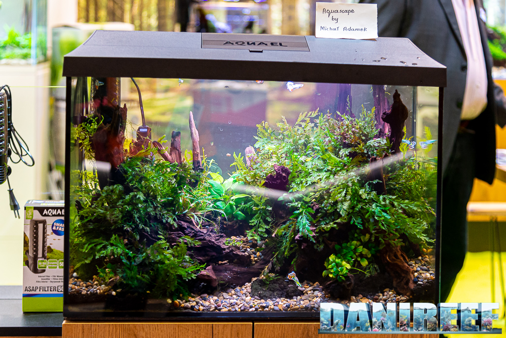 Aquascape di Michal Adamek allo stand AquaEl Interzoo 2022