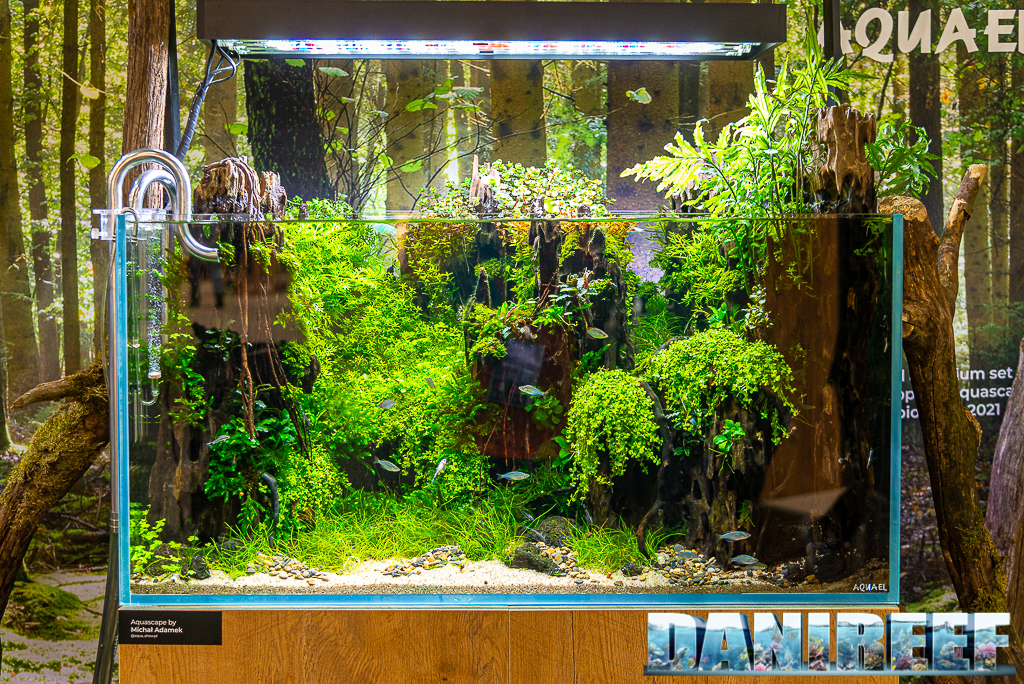 Aquascape di Michal Adamek allo stand AquaEl Interzoo 2022