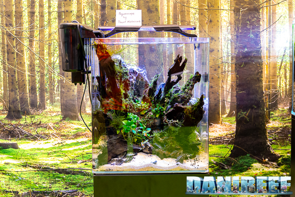 Aquascape di Pawel Mielniczek allo stand AquaEl Interzoo 2022