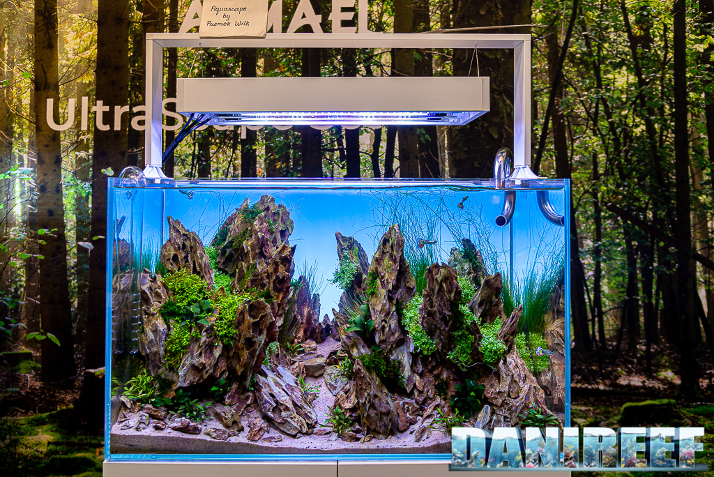 Aquascape di Przemek Wilk allo stand AquaEl Interzoo 2022