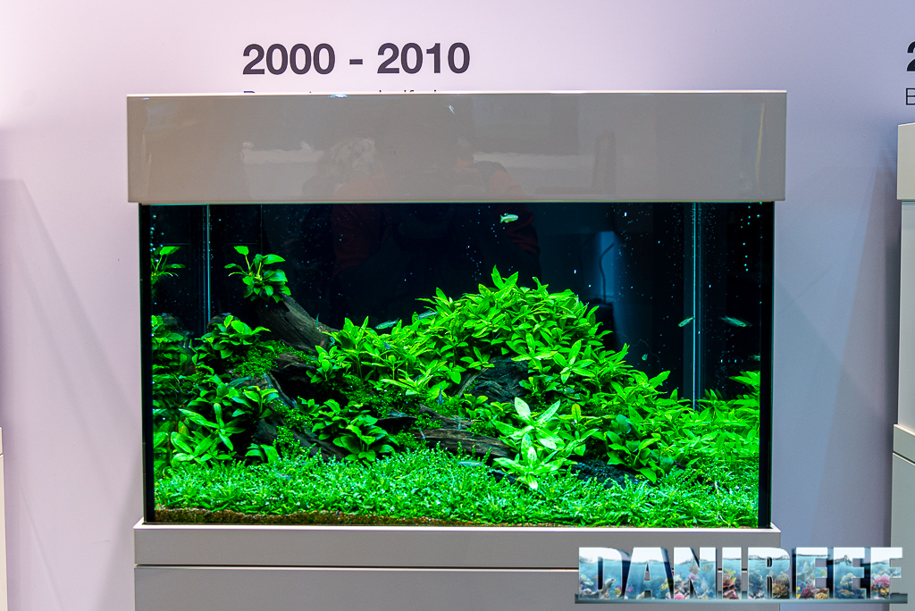 2000-2010 Pogostemon helferi