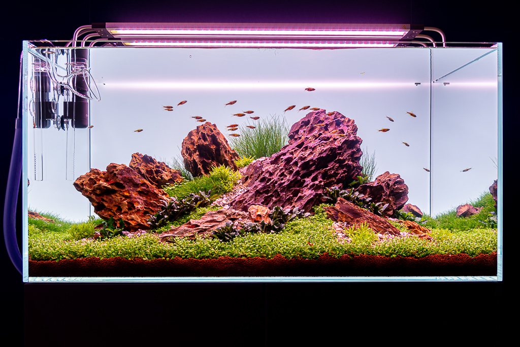 La fertilizzazione ADA è costosa ma (quasi) garanzia di risultati