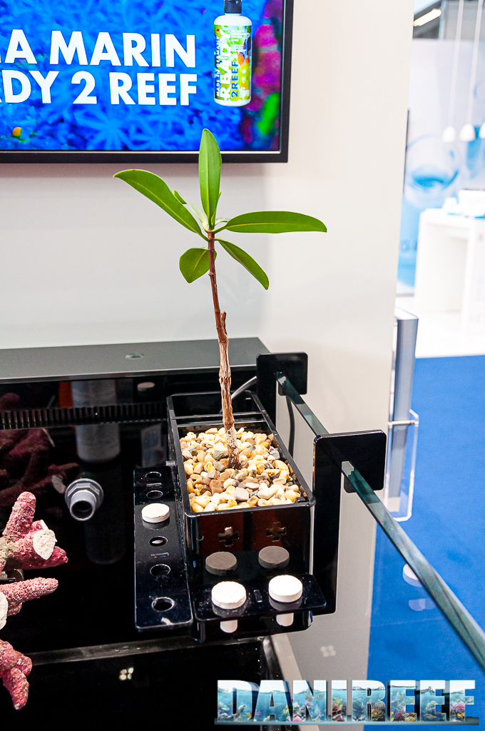 Novità: Porta piante e porta mangrovie per acquario allo stand Fauna Marin Interzoo 2022