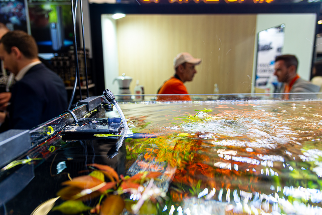 batteri in bottiglia