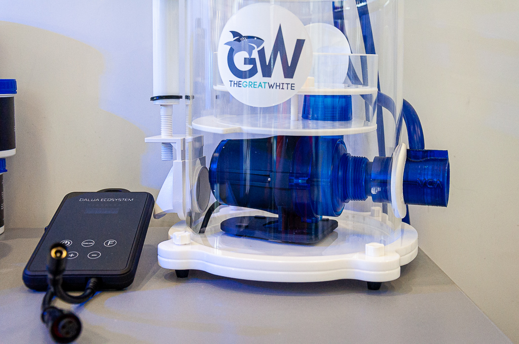 Particolare dello skimmer GW in esposizione. La pompa Eden è prodotta in Italia ed è specifica per schiumatoi