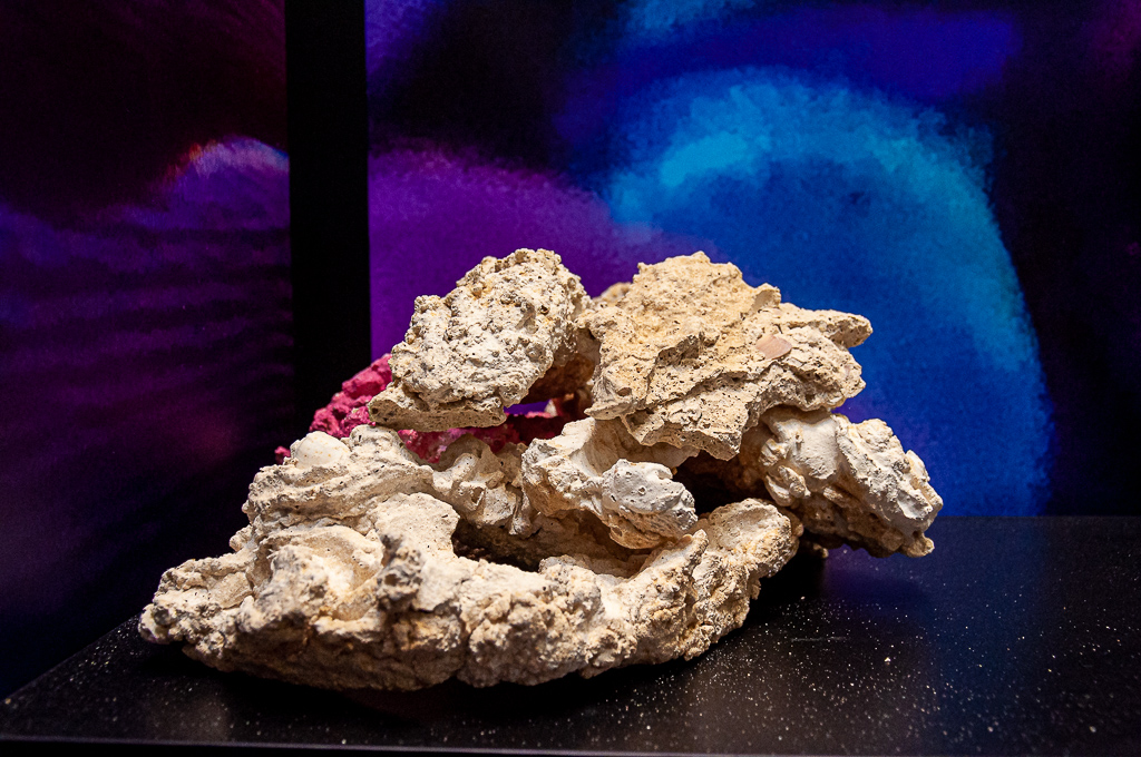 Una delle rocce artificiali di Royal Nature allo stand Interzoo 2022