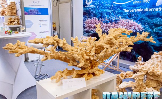 Aquaroche reveals the new AcropoRock System and the Druide Sea products