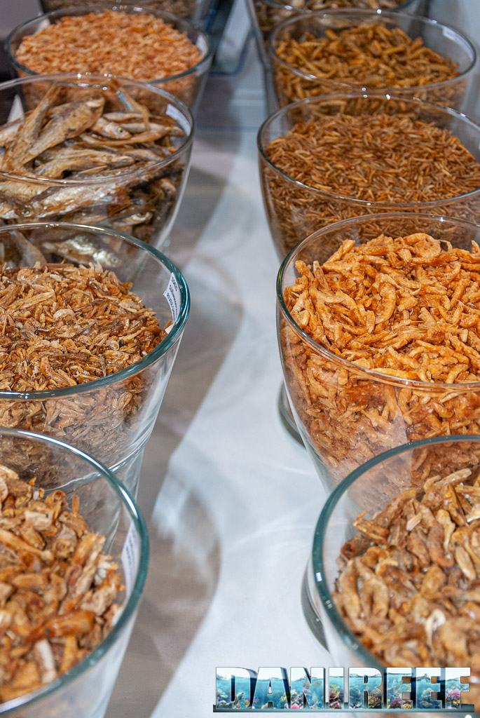 Alcuni tra i mangimi essiccati di Artemia Koral GmbHo