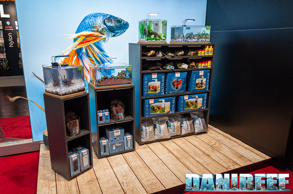 Betta Kub and Betta Rek in the Zolux's stand