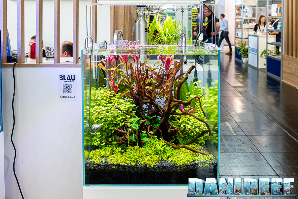 aquascaping mini in casa Blau