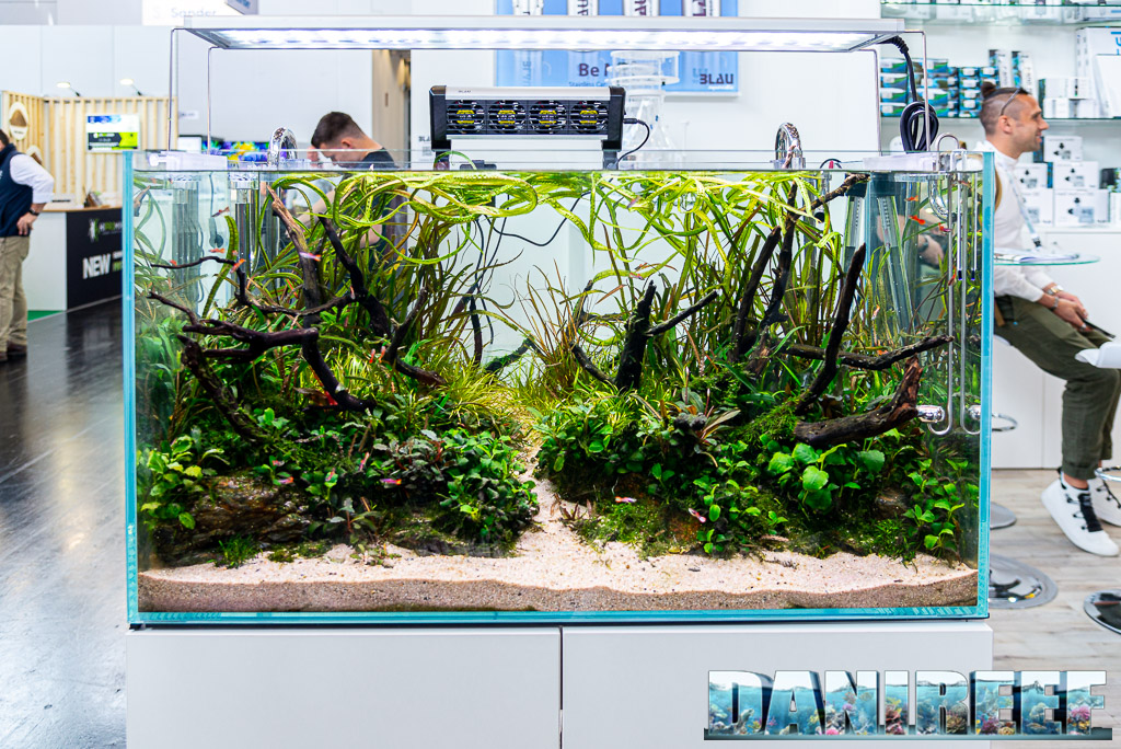 aquascaping in casa Blau