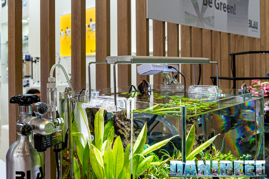 aquascaping mini in casa Blau