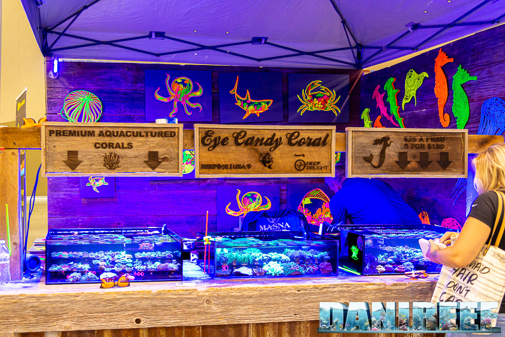 Lo stand Eye Candy Corals al Macna 2022