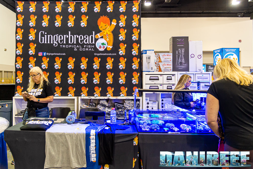 Lo stand Gingerbread - Tropical fish & coral al Macna 2022