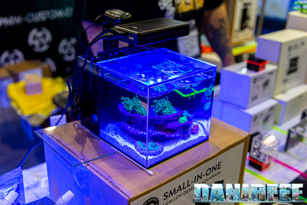 i fantastici MicroReef di PNW Custom