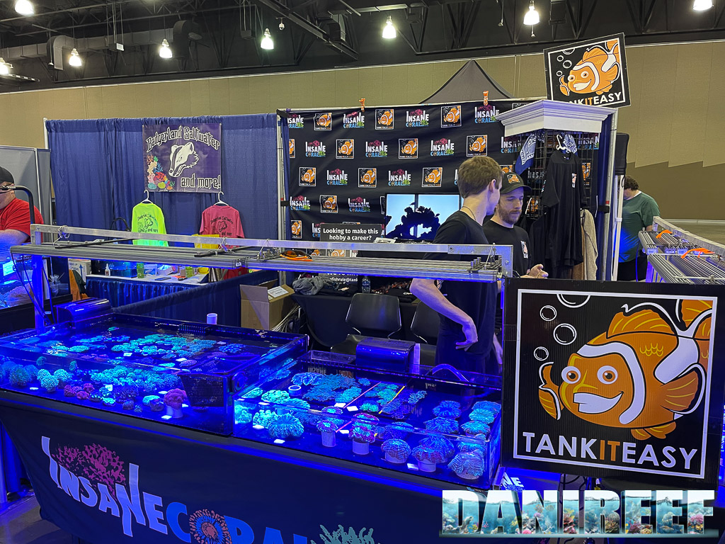 Lo stand Insane coral - tankiteasy al Macna 2022