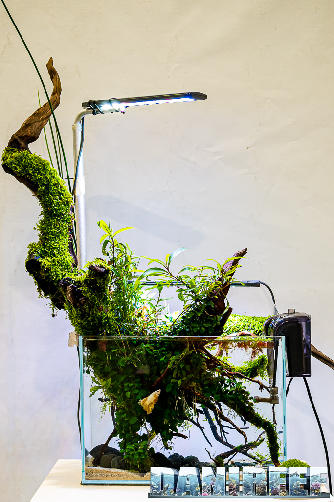 L'aquascaping di Enrico Fortuna al PetsFestival 2022