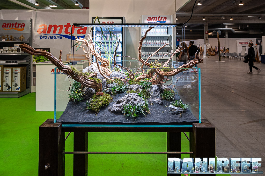Allestimento Amtra al PetsFestival 2022