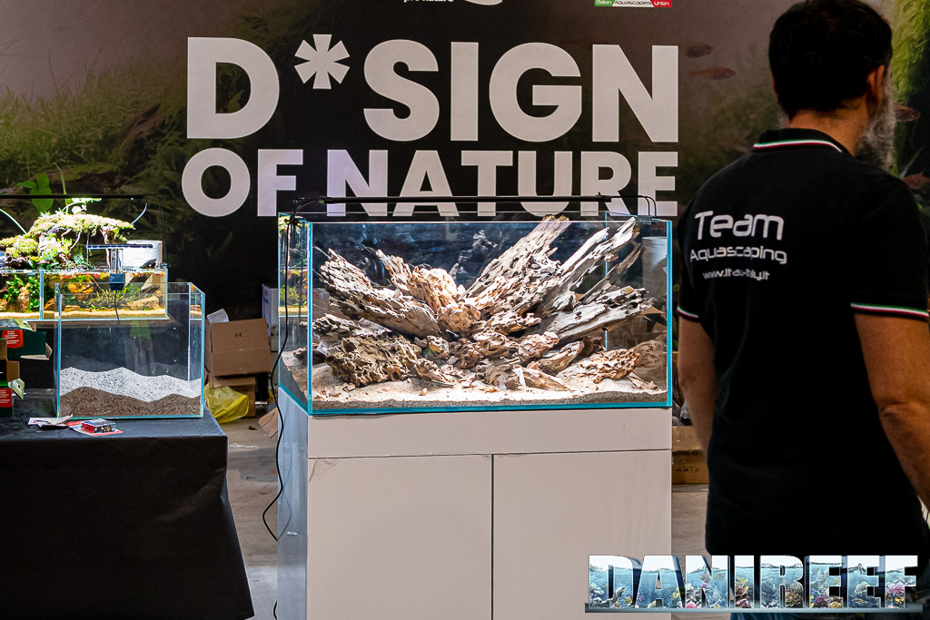 ITAU ed i suoi meravigliosi Aquascaping al PetsFestival 2022: vediamoli
