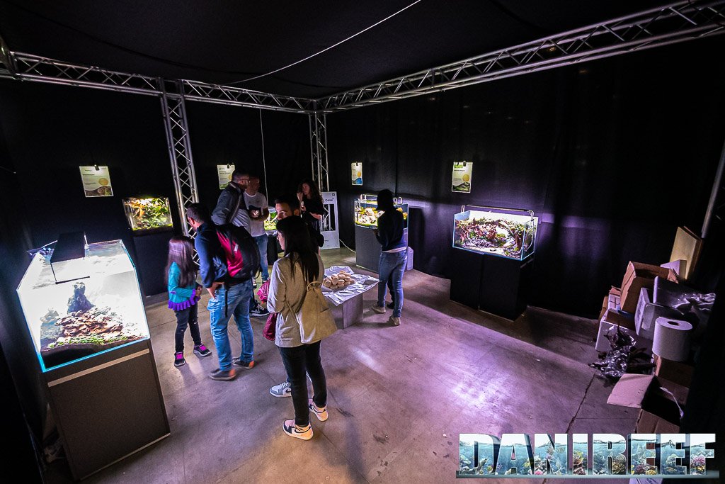 L'interno della Scaper Room allestita da Oase al PetsFestival 2022