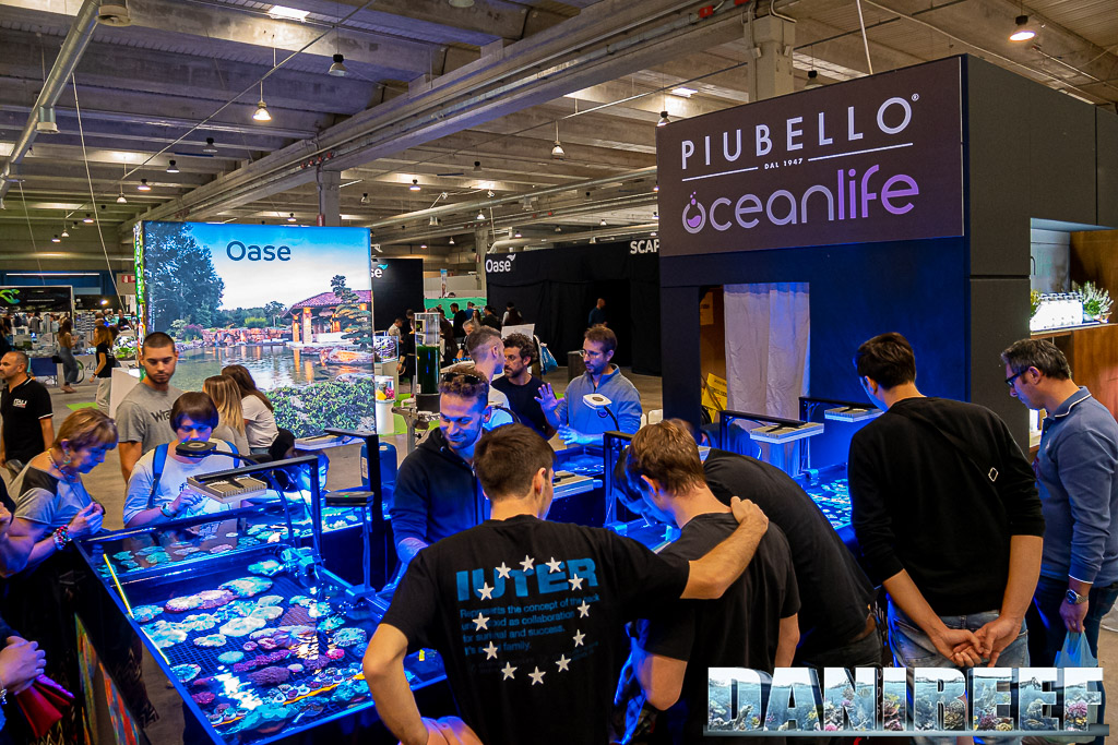 Lo stand congiunto Piubello ed OceanLife al PetsFestival 2022