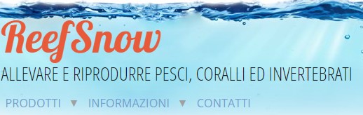 Offerte ReefSnow Black Friday 2022