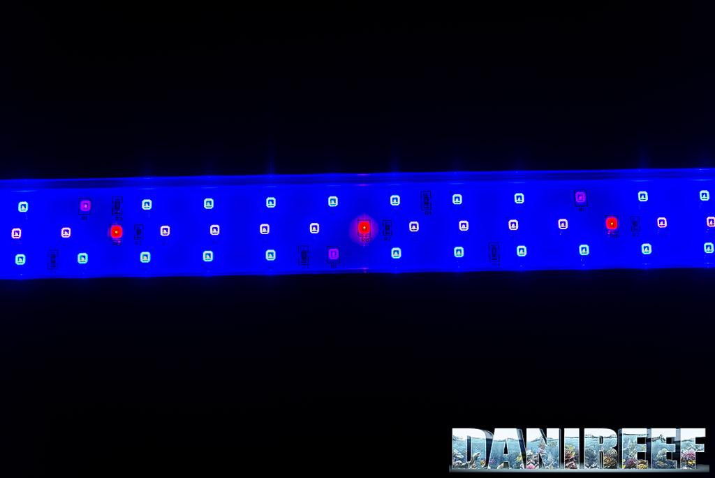 I LED della plafoniera ASF Proten LED Reef Blue 90-120 cm: entrambi i canali accesi