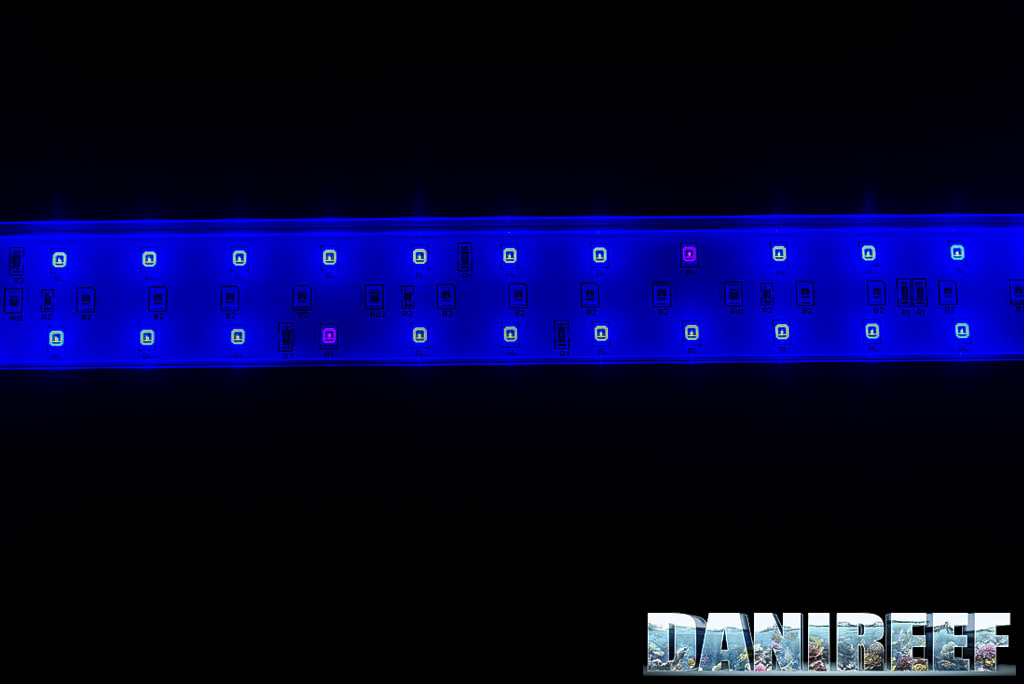 I LED della plafoniera ASF Proten LED Reef Blue 90-120 cm: canale 1