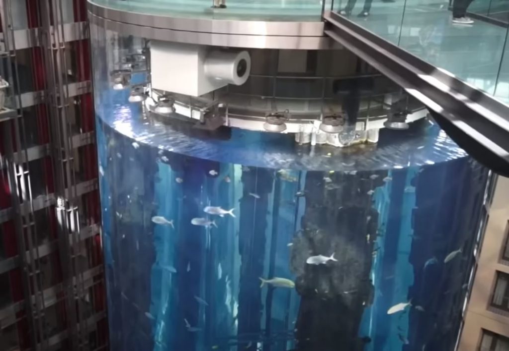 L’Aquadom, 1 milione di litri, è esploso causando la morte di 1.500 animali