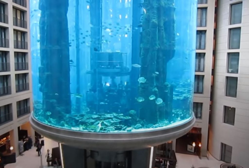 L’Aquadom, 1 milione di litri, è esploso causando la morte di 1.500 animali