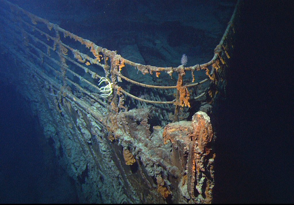 Un famoso scatto risalente a giugno 2004 della prua del Titanic ricoperta di rusticles.
Sedimenti causati da ossido e batteri come l'Halomonas titanicae, batterio scoperto nel 2010 e nominato così in onore del transatlantico