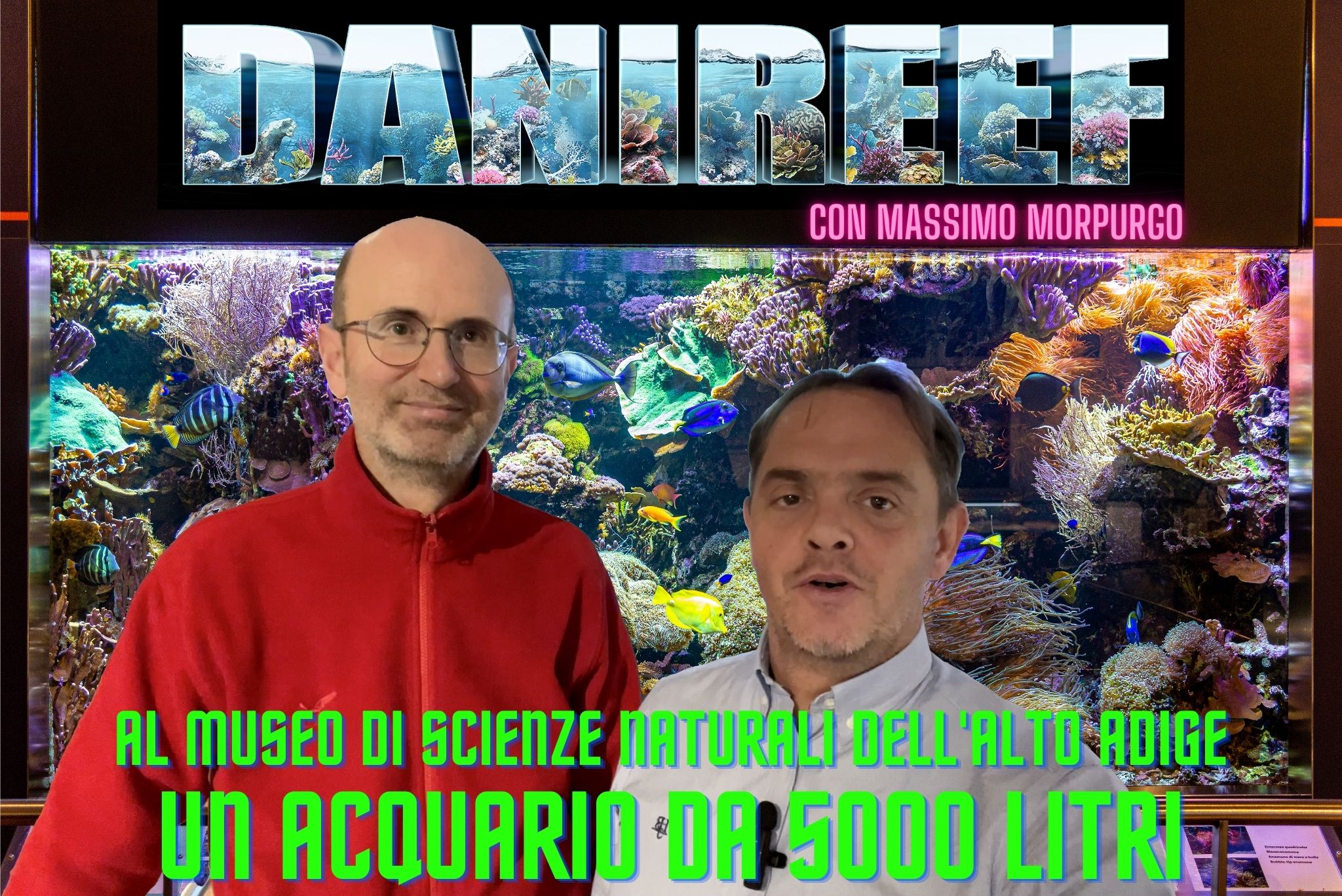 The 5000 liter marine aquarium at the Natural Sciences Museum in Bolzano (and the jellyfish)