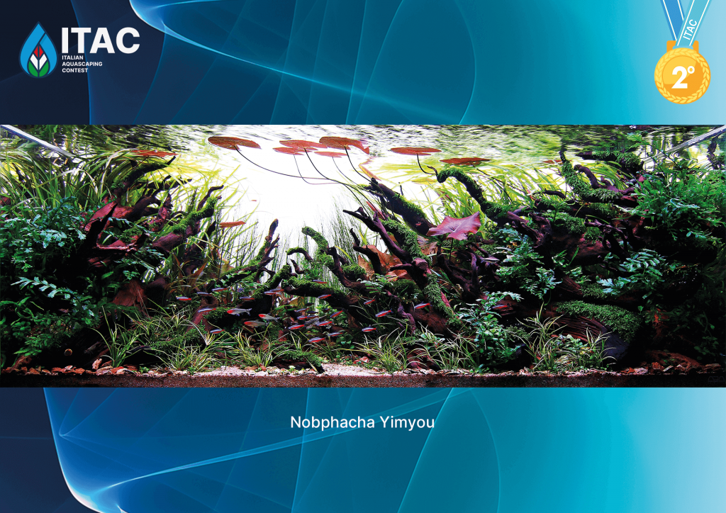 Secondo classificato di ITAC 2022 - Nobphacha Yimyou