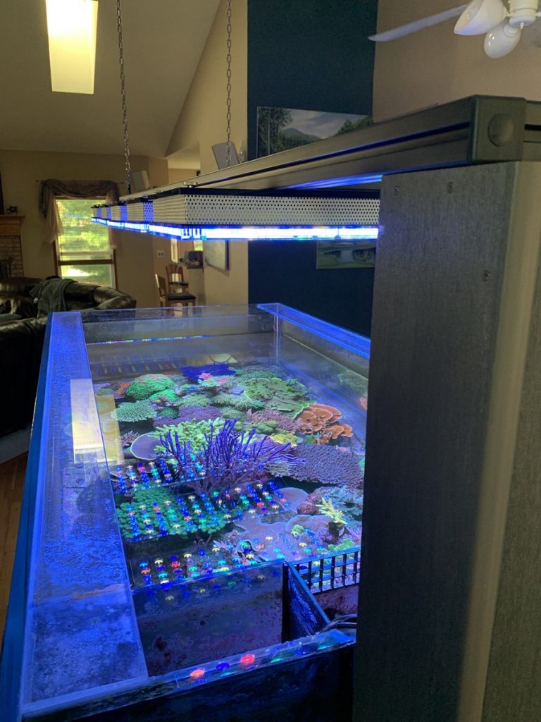 La vasca del mese di febbraio 2023 per il forum Reef2Reef è quella di MantisReef Image credit: www.reef2reef.com - le 5 plafoniere Orphek iCon