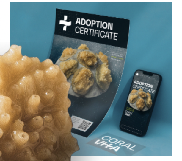 Coral Vita: adotta un corallo