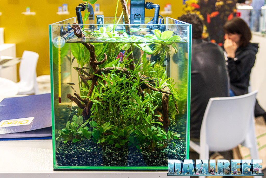 Un piccolo acquario allestito presso lo stand Ottavi allo Zoomark 2023