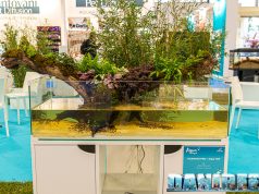 Acquari dolci ed aquascaping nell’Aqua Project a Zoomark 2023