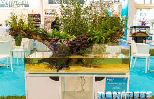 Acquari dolci ed aquascaping nell’Aqua Project a Zoomark 2023