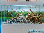 I bellissimi acquari AquaEl a Zoomark 2023 con Opti Glass