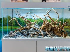 I bellissimi acquari AquaEl a Zoomark 2023 con Opti Glass