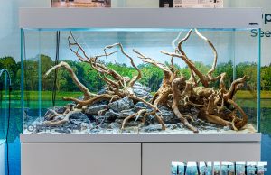 I bellissimi acquari AquaEl a Zoomark 2023 con Opti Glass