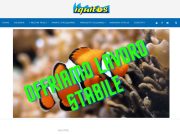 Sognate un lavoro nel mondo degli acquari? Iquitos ve lo offre