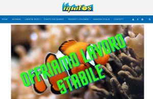 Sognate un lavoro nel mondo degli acquari? Iquitos ve lo offre