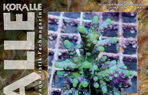 Koralle 141 parla delle farm di coralli europee (e Recifathome)