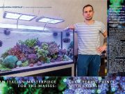 Lo spettacolare acquario di SPS di Luca Perini su Coral Magazine