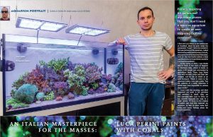 Lo spettacolare acquario di SPS di Luca Perini su Coral Magazine