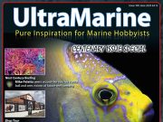 UltraMarine Magazine arriva al numero 100!!!