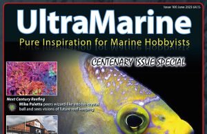 UltraMarine Magazine arriva al numero 100!!!